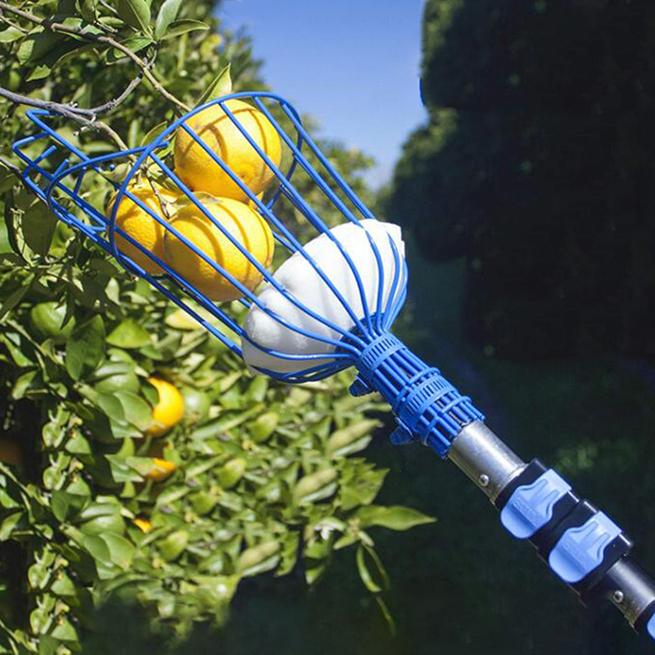 Fruit Picking Gardening Tools Blue Fruit Picker High Altitude